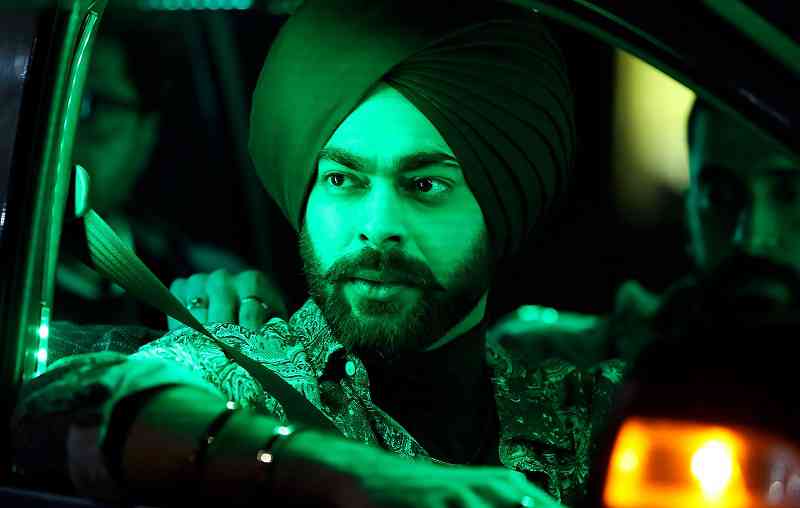 Photo 5 of Wild Wild Punjab