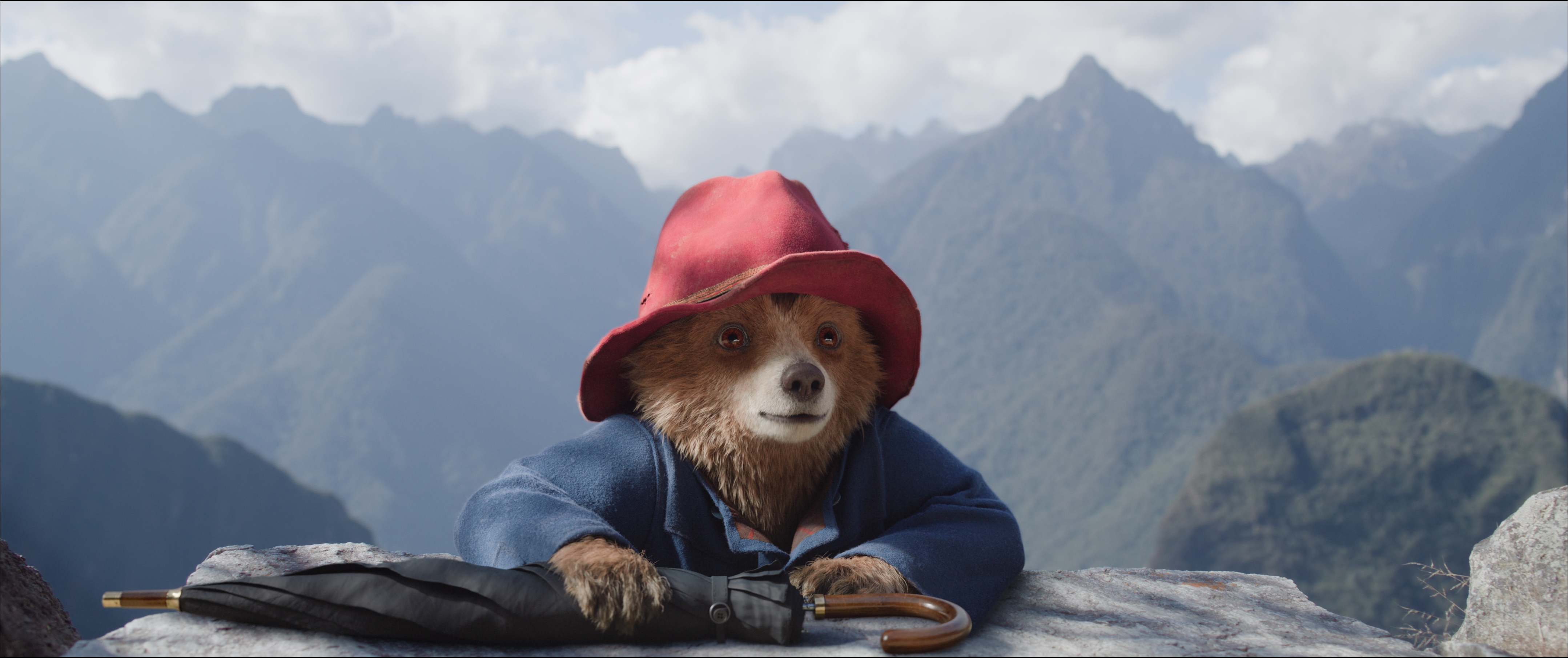 Photo 1 of Paddington in Peru