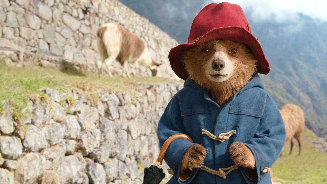 Photo 2 of Paddington in Peru