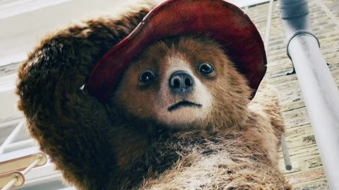 Photo 8 of Paddington in Peru