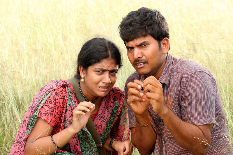 Photo 3 of Munthirikkaadu