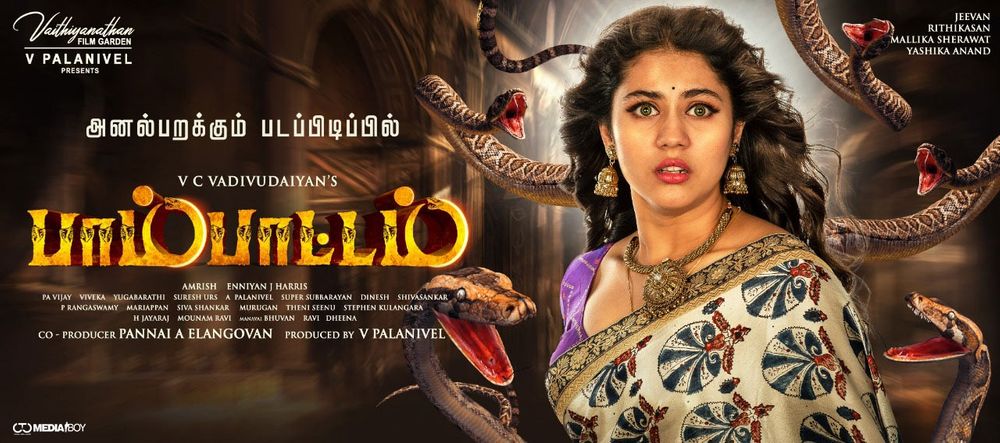 Photo 3 of Pambattam