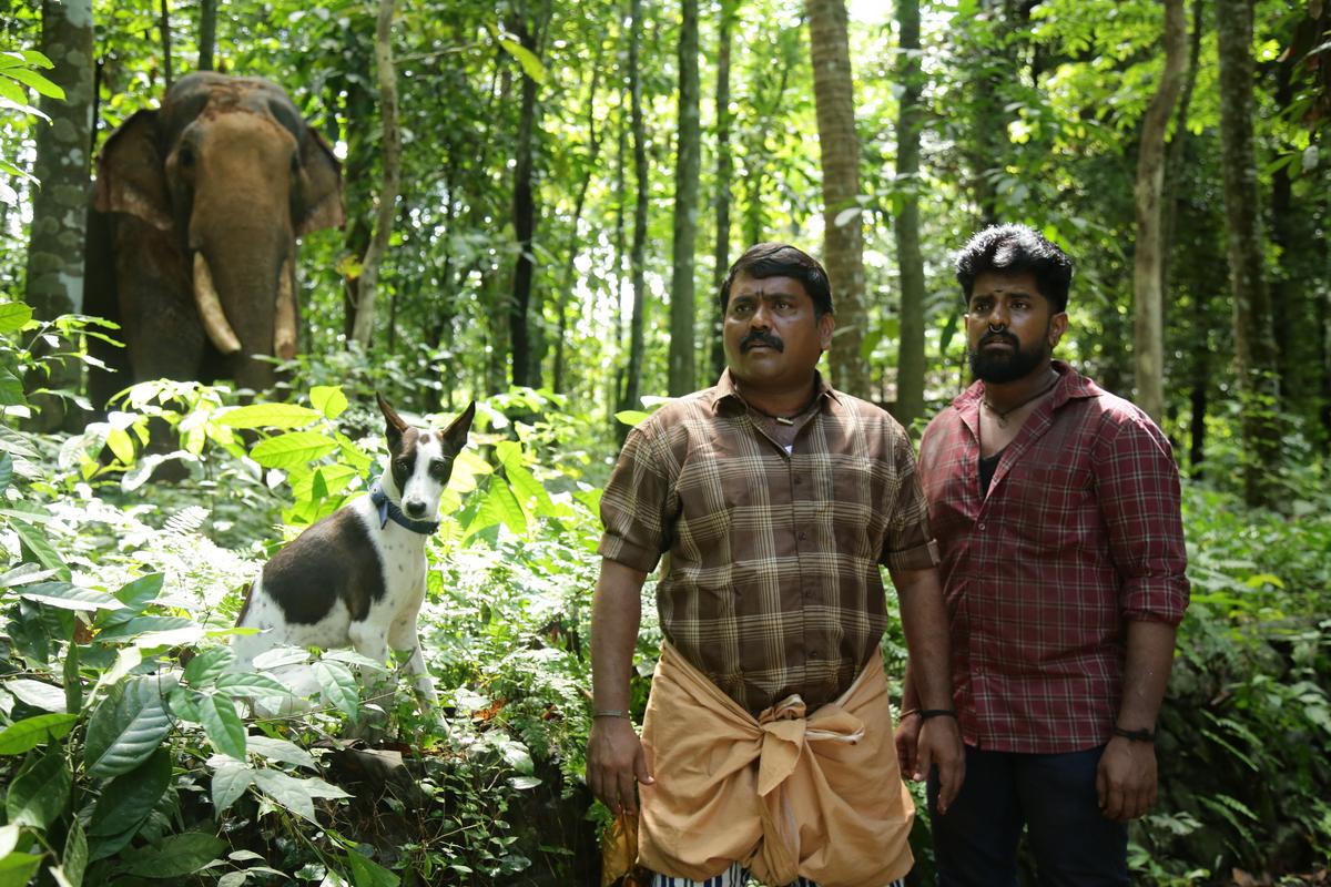 Photo 7 of Alangu