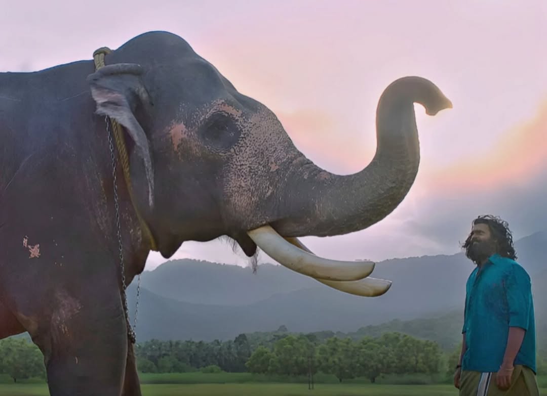 Photo 8 of Padai Thalaivan