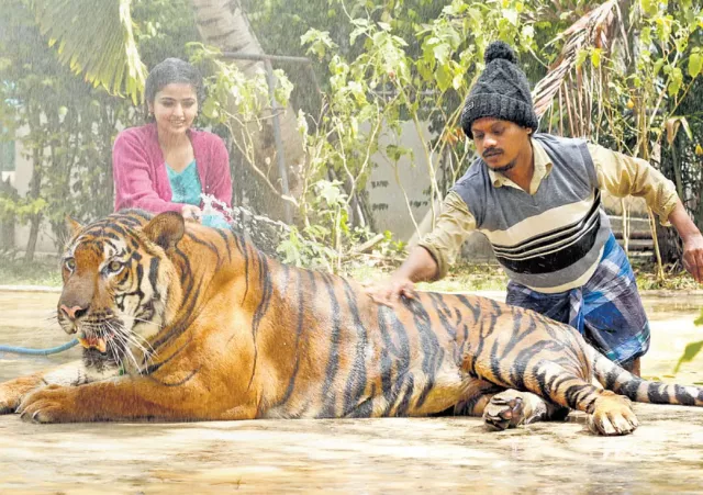 Photo 4 of Mr.Zoo Keeper