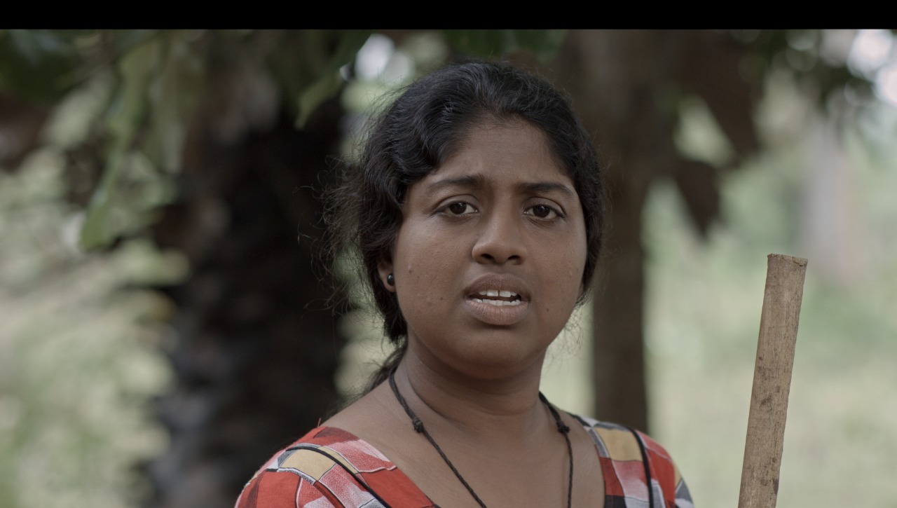 Photo 6 of Otrai Panai Maram