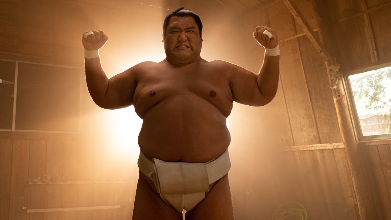 Photo 2 of Sumo