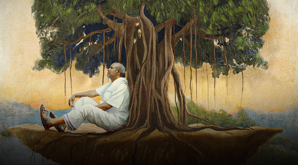 Photo 3 of Satchi Perumal