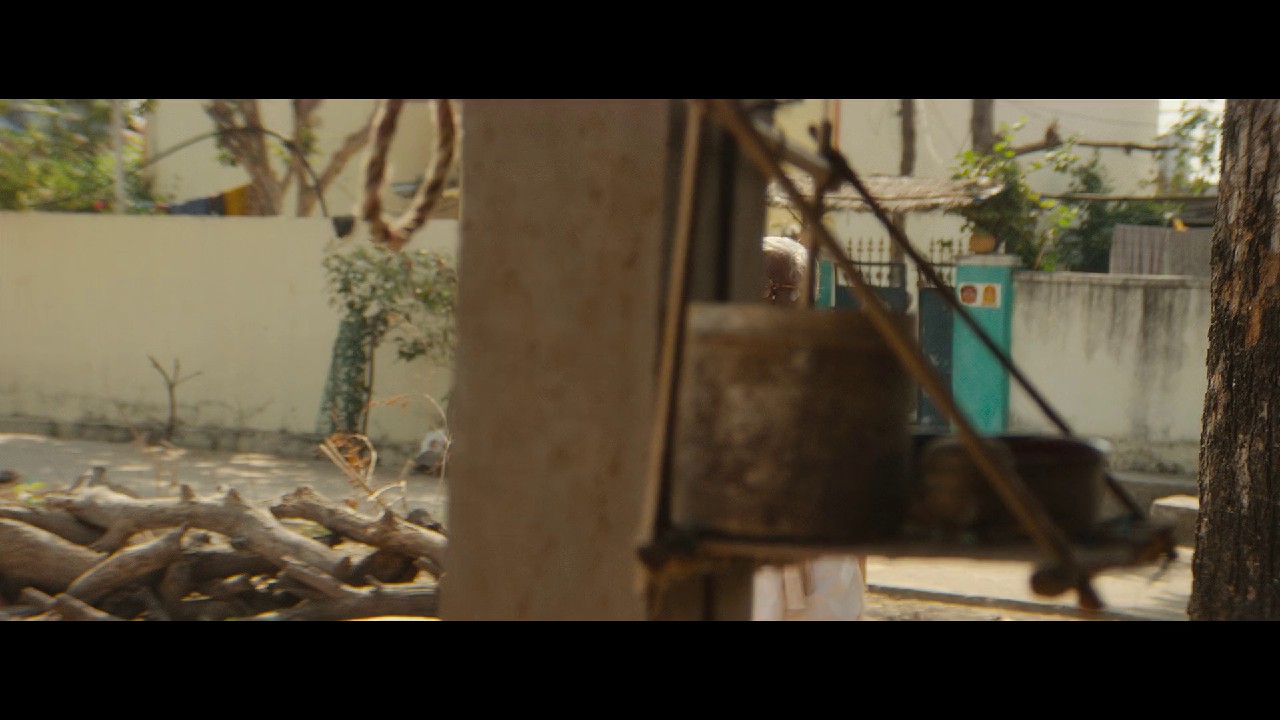 Photo 8 of Baapu