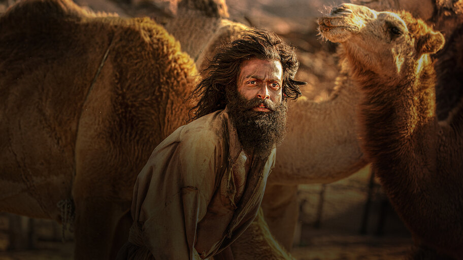 Photo 2 of The Goat Life