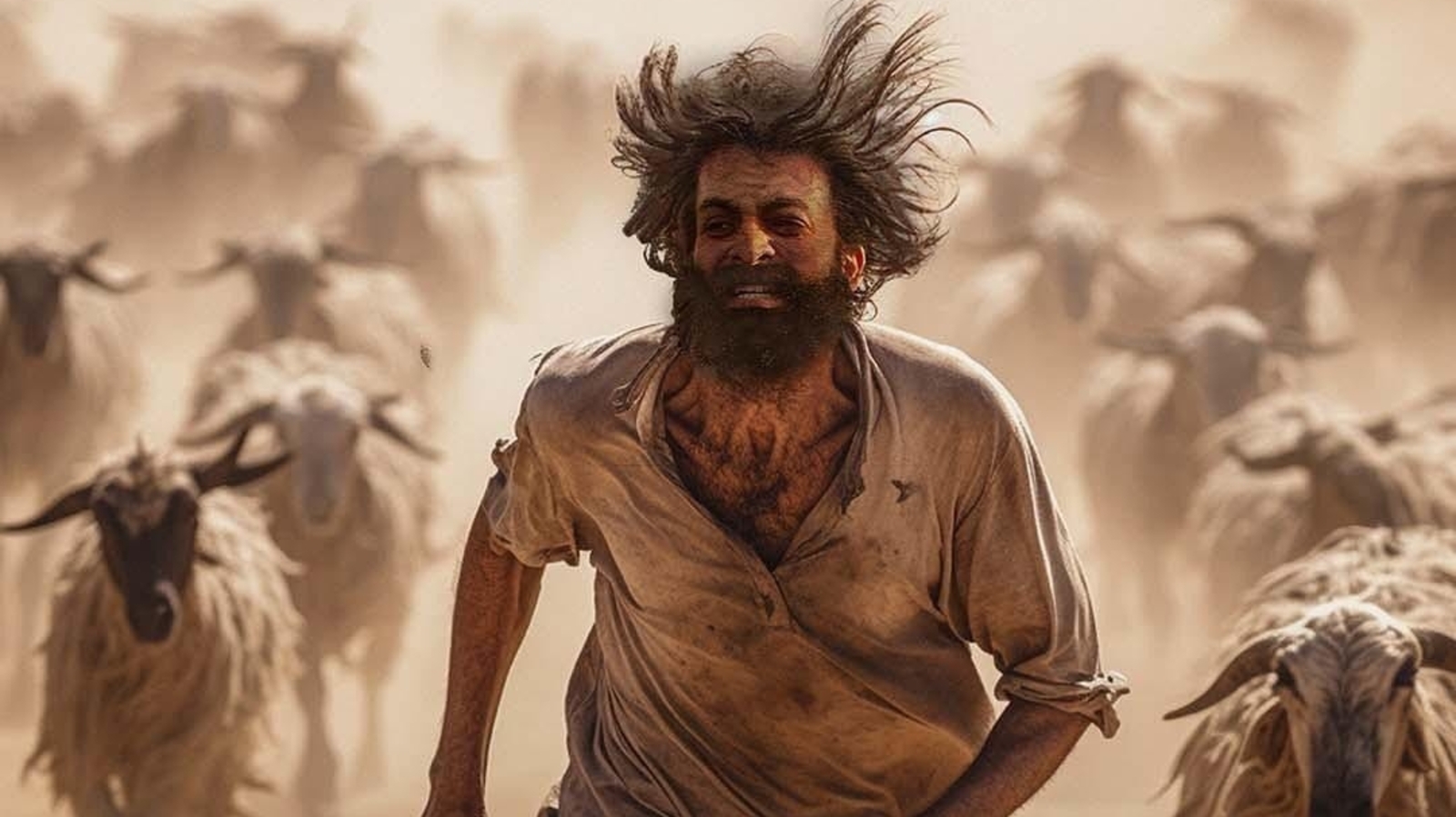 Photo 3 of The Goat Life