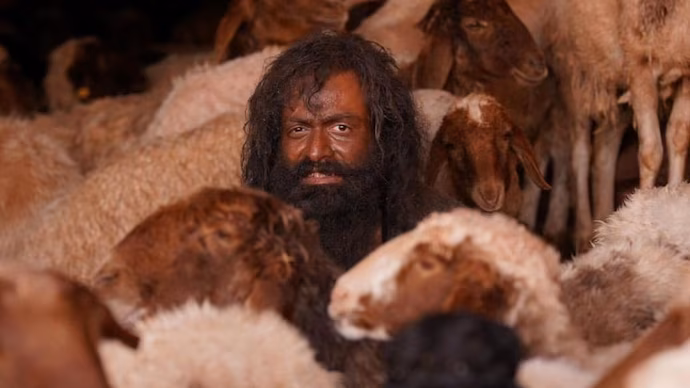 Photo 5 of The Goat Life