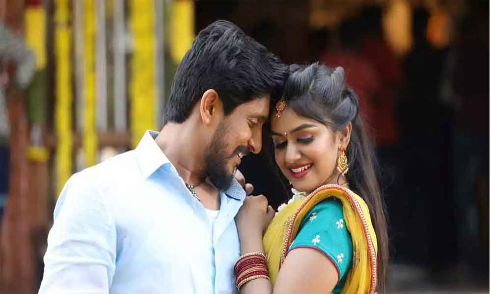 Photo 4 of Shokiwala