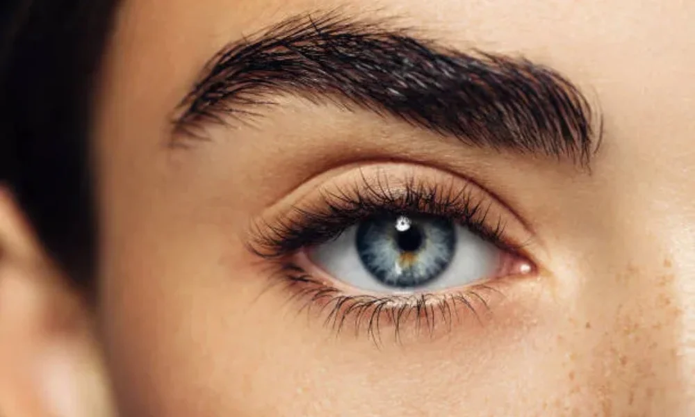 aloe vera for eyelashes