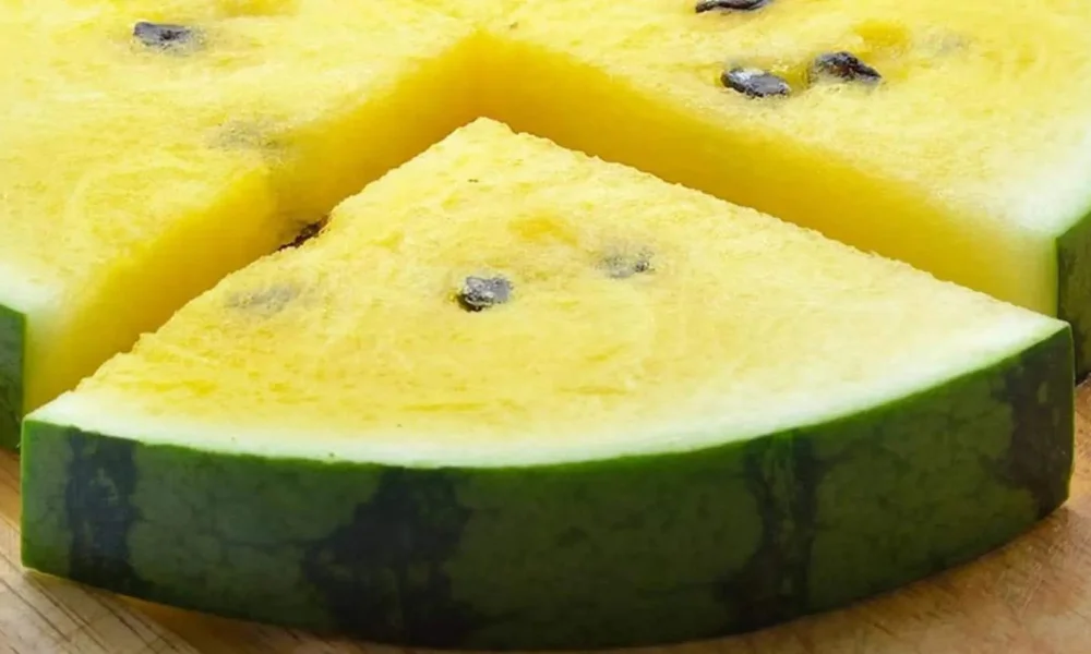 Melons for skin health