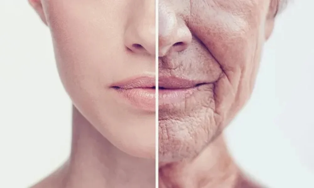 Natural oils for wrinkles