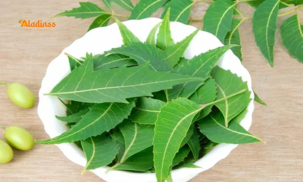 Neem for Acne and Pimples Guide
