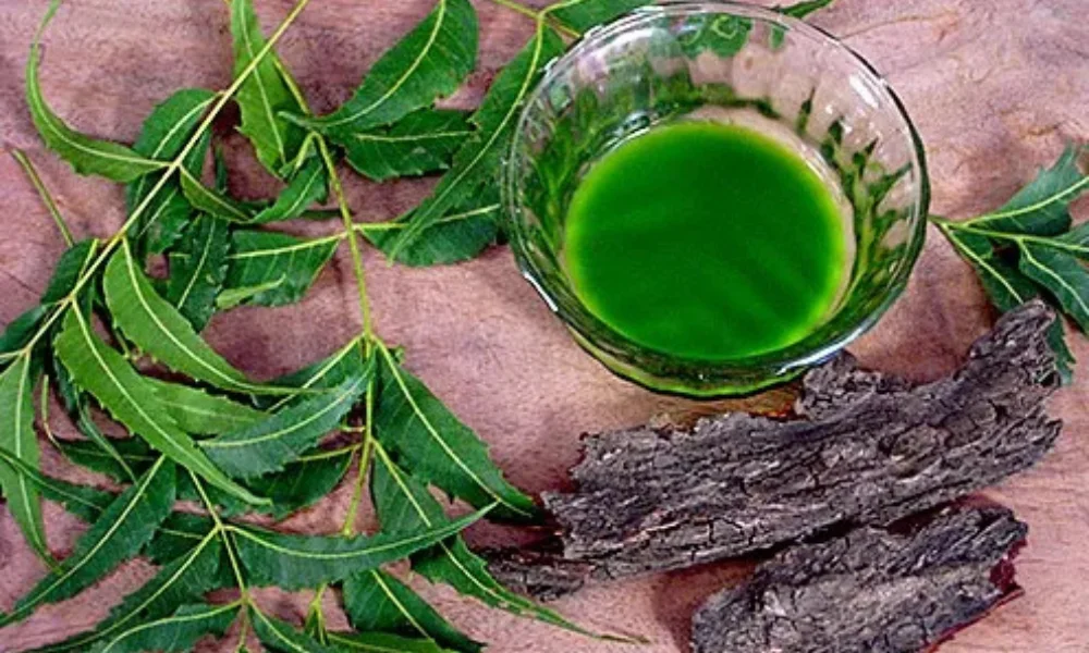 Neem for acne and pimples natural remedy 2025