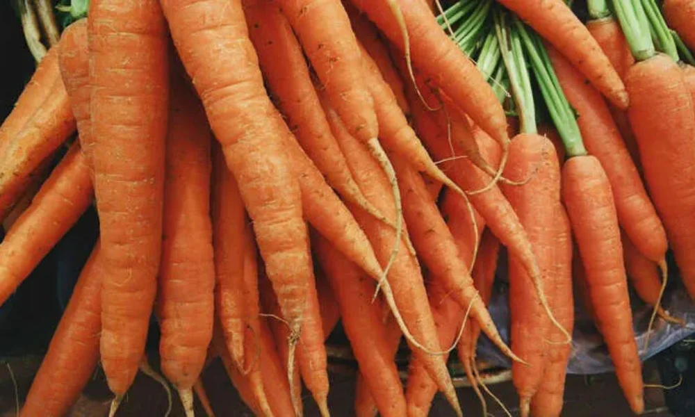 Affordable organic foods in India