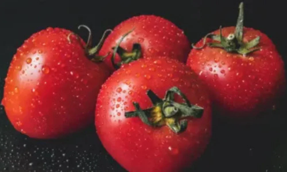 Benefits of eating raw tomatoes