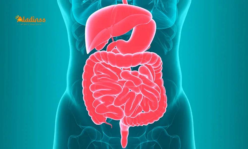 Boost Your Gut Health: Simple Tips for a Balanced Microbiome