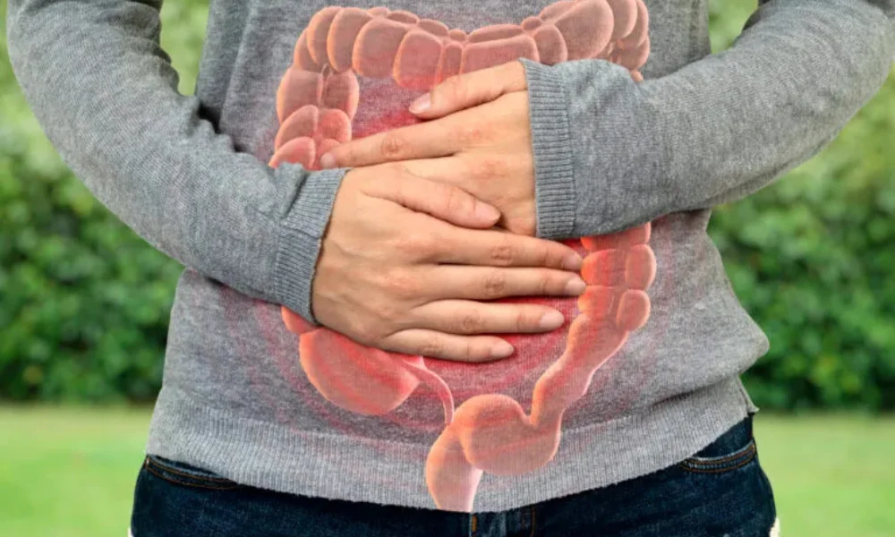 Gut Health Importance