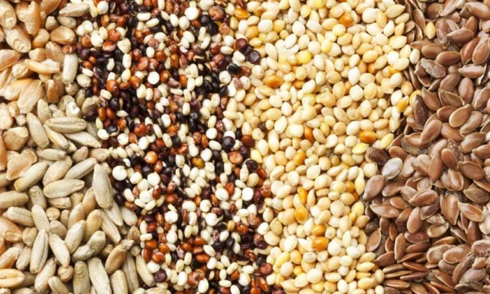 Pumpkin seeds health benefits 2025