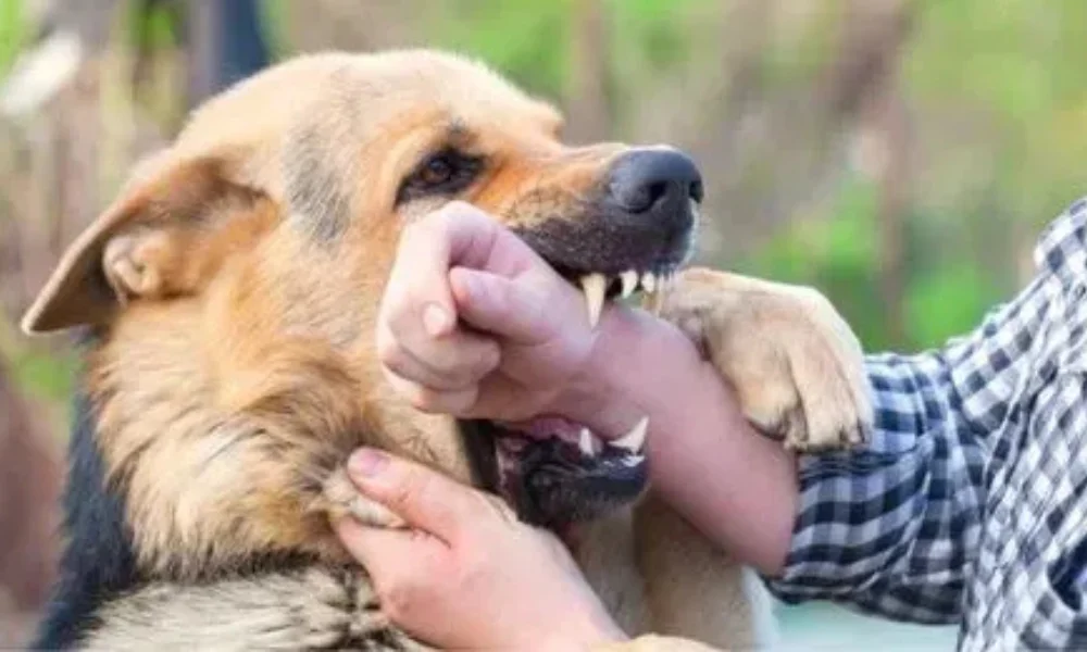 Fear of water rabies symptom 2025