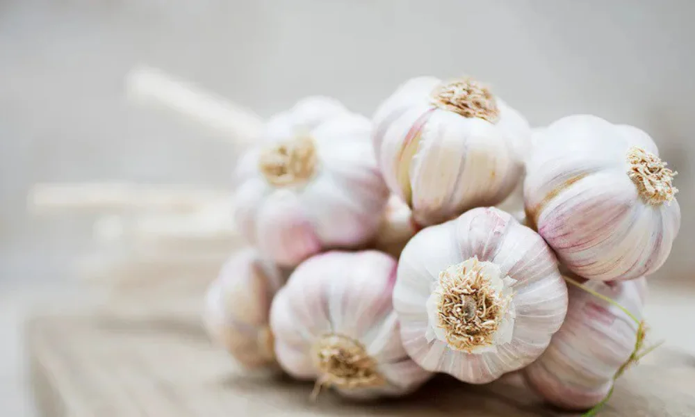 Daily Raw Garlic Intake Promises Strong Immunity And Glowing Skin In 30 Days