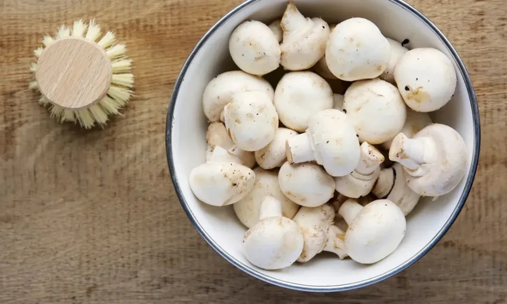 Safe Mushrooms During Pregnancy: Doctor's Advice