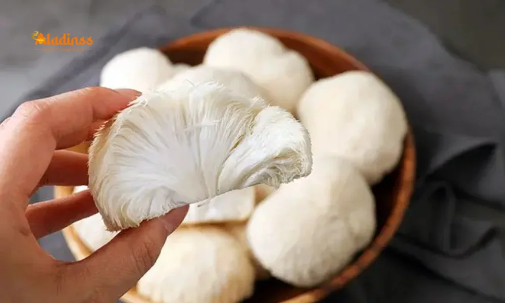Safe Mushrooms During Pregnancy Benefits