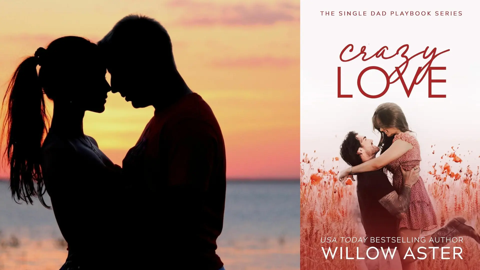 The Playbook of Our Hearts romance books