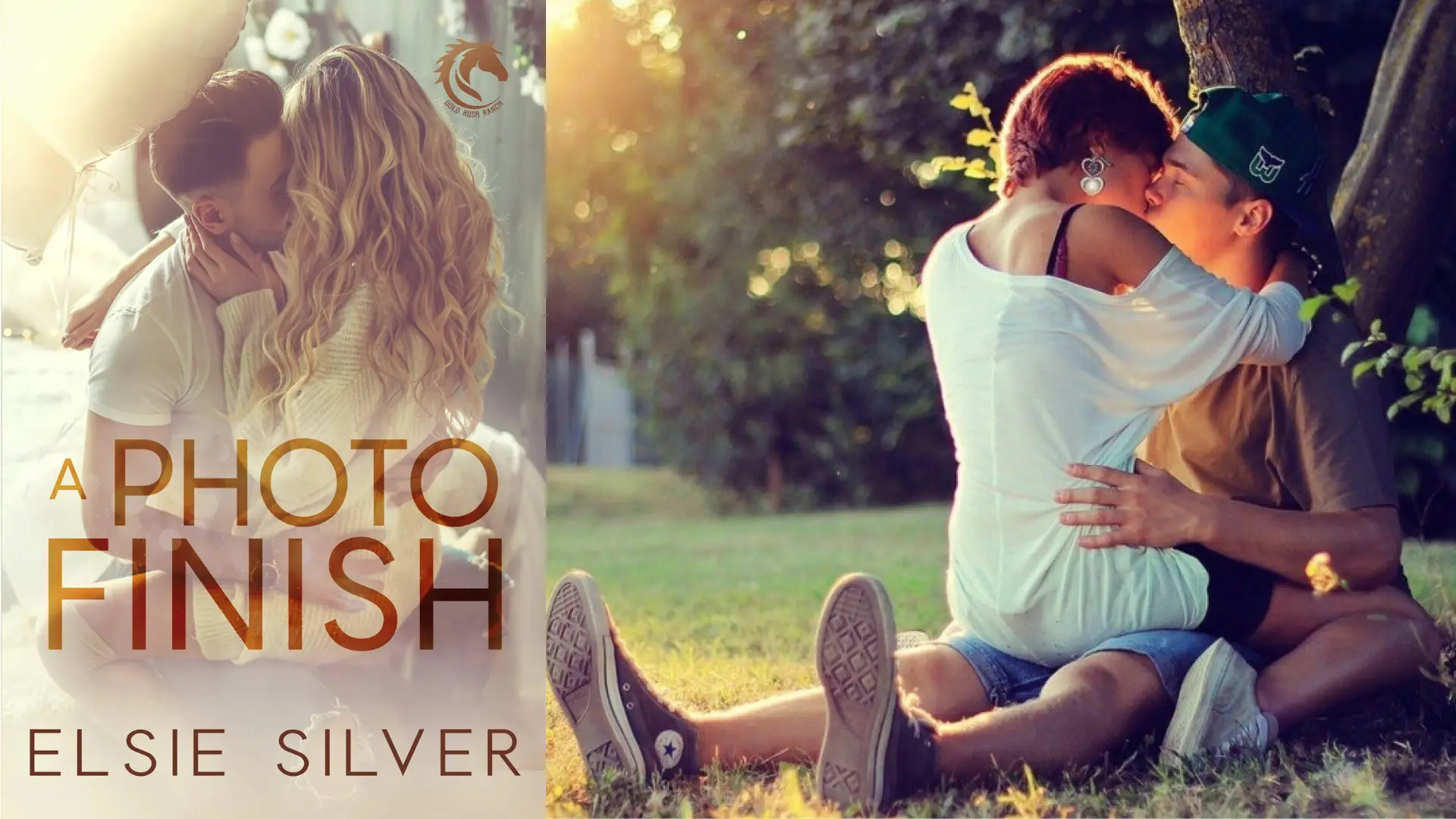 Dance With the Dark Fae romance books