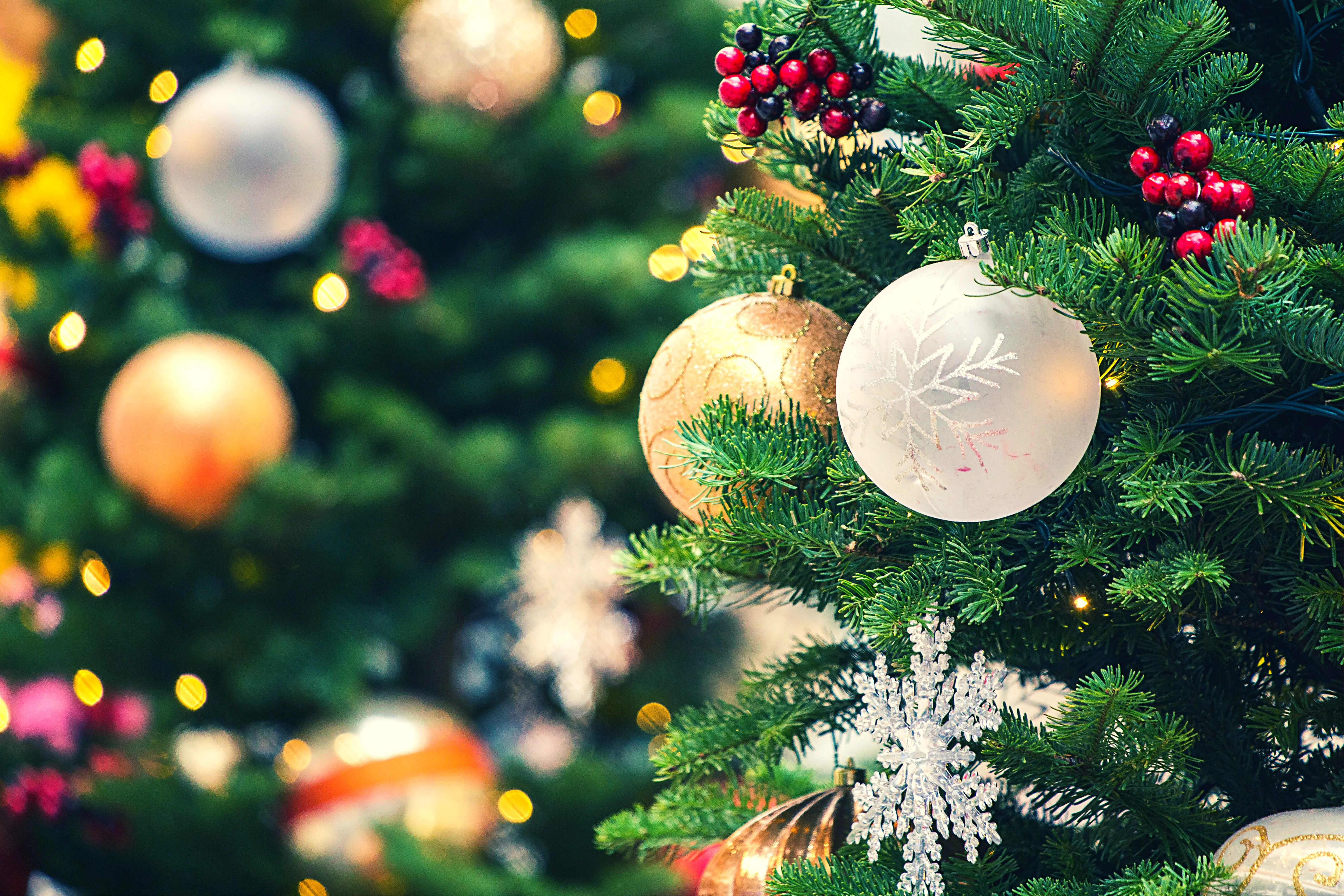 Why Christmas Is Celebrated: Full History, Traditions, and Global Events