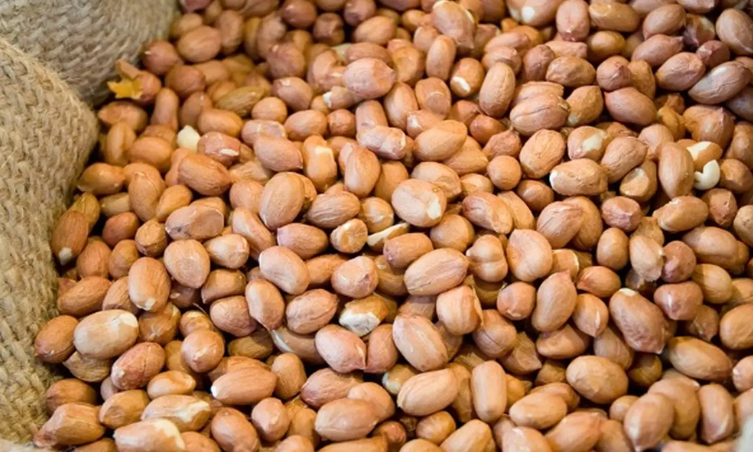 Indonesia suspends peanut imports from India