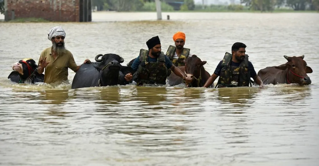 Punjab floods 2025 devastation