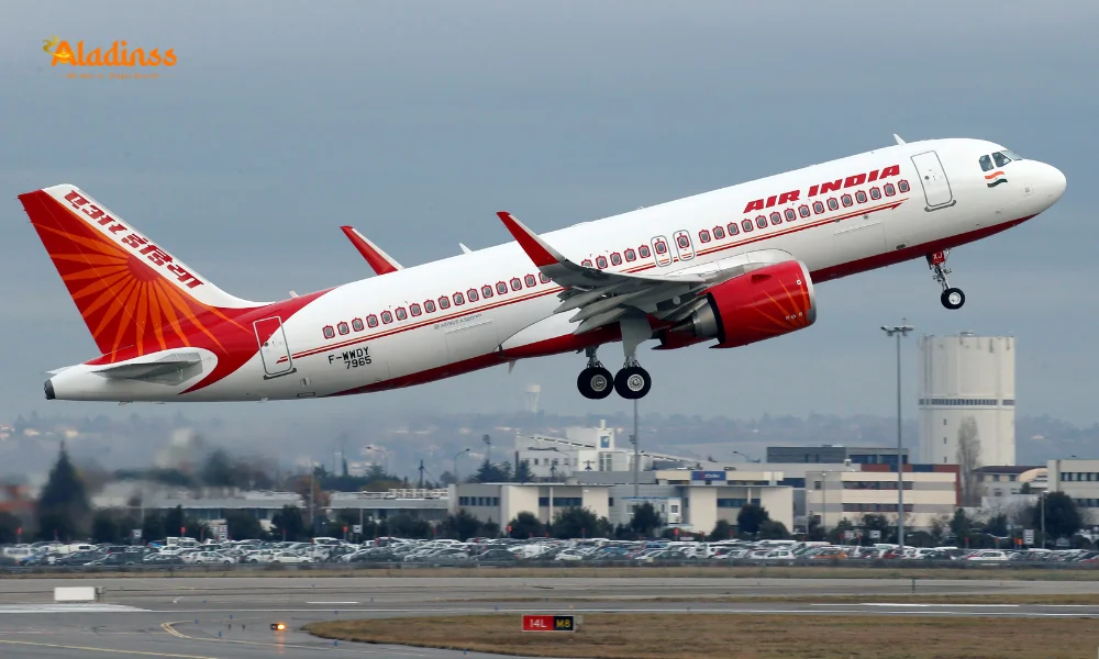 Air India’s $1.14B Plea to Tata & SIA—Can It Survive?