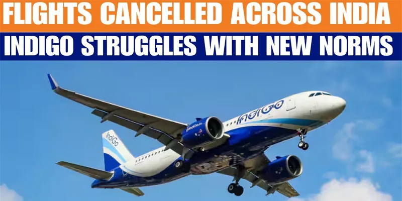 indigo cancelled flights luggage issue