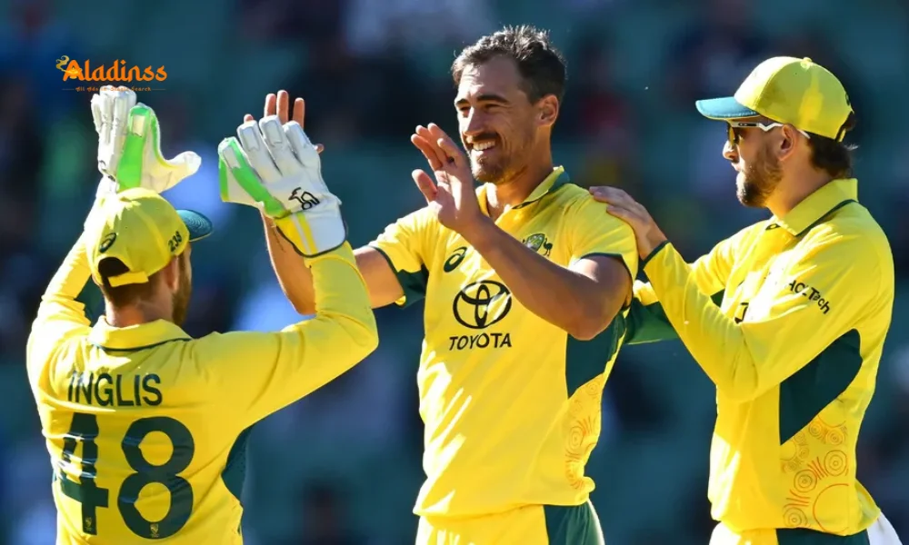 Australia Squad vs India: Starc Returns, Marsh Leads