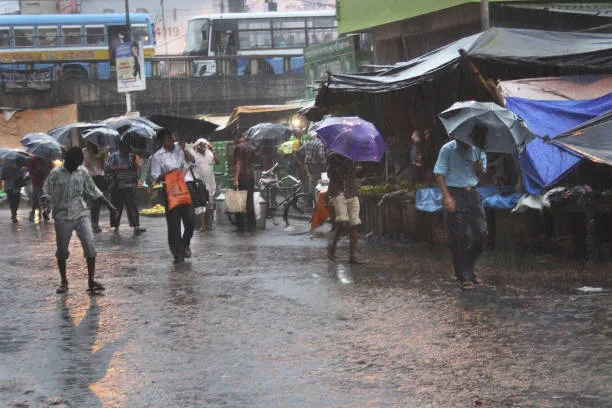 TN Weather Today: Rain or Sun? Latest IMD Update