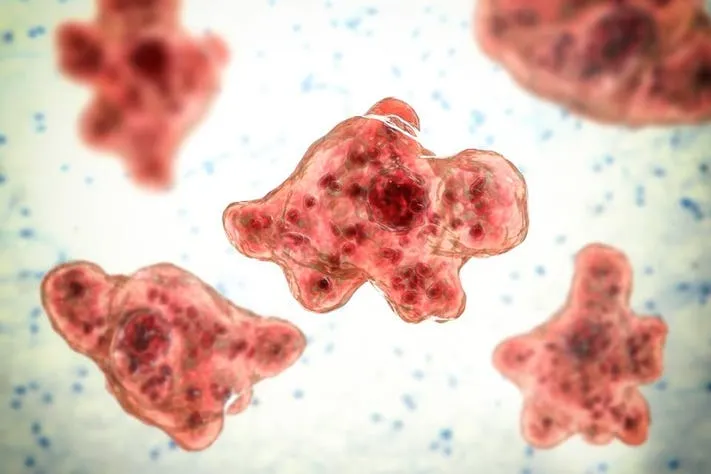 brain-eating amoeba symptoms and locations in Kerala