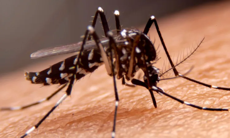 dengue outbreak Tamil Nadu