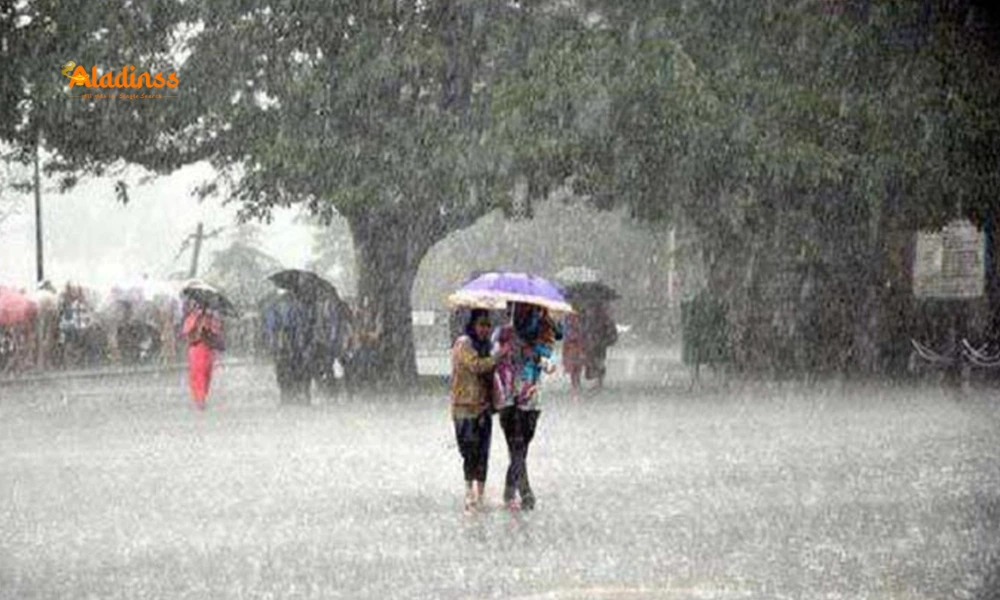 Tamil Nadu Rain Warning: Moderate Showers Till August 26