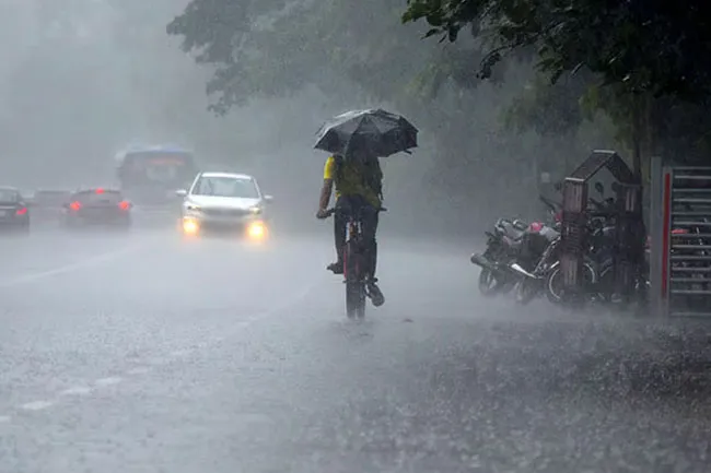 Rain in Tamil Nadu forecast by IMD
