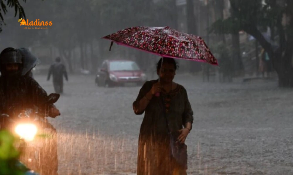 Tamil Nadu Weather: Low Pressure Area Brings Rain