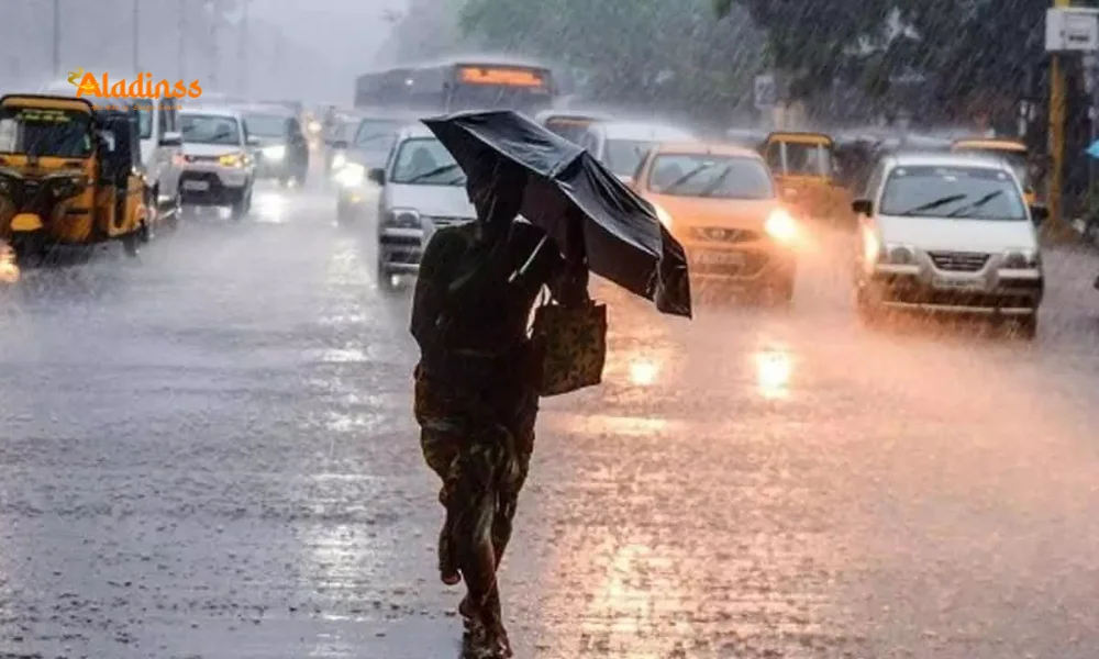 Heavy Rain Alert for 12 Tamil Nadu Districts on Sep 10, 2025