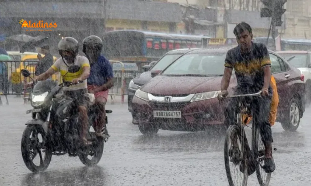 Tamil Nadu Weather Today: Heavy Rains Expected, Alert Issued