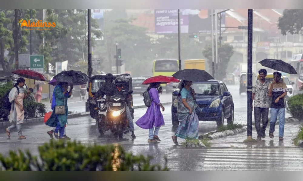 Tamil Nadu Rain Update: Heavy Rainfall Hits Chennai Suburbs