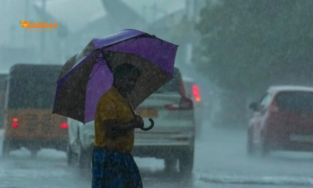 Heavy Rain Alert in Tamil Nadu: 10 Districts on Watch