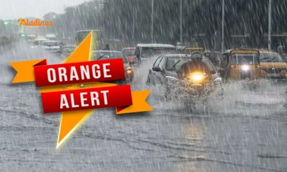 Tamil Nadu Orange Alert 2025: Heavy Rain Lashes Nilgiris & Coimbatore Stay Safe